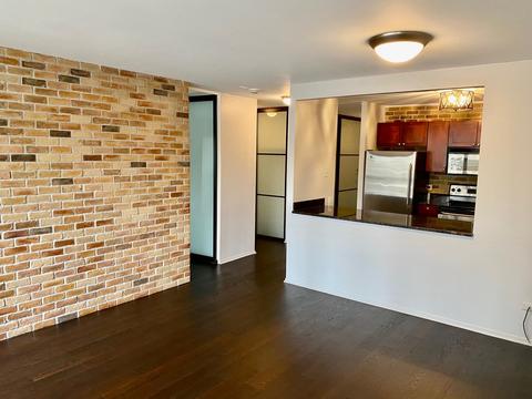 30 E Huron St #1305, Chicago, IL 60611 photo 8