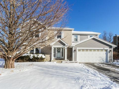 851 Bristol Dr, Algonquin, IL 60102 photo 1
