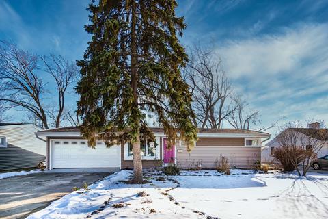 149 E Walnut Ave, Des Plaines, IL 60016 photo 22