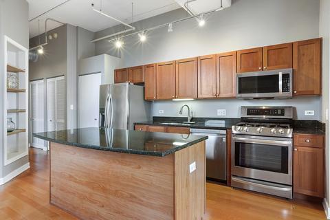 811 W 15th Pl #501, Chicago, IL 60608 photo 3
