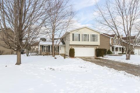 4975 Essington Ln, Hoffman Estates, IL 60010 photo 1