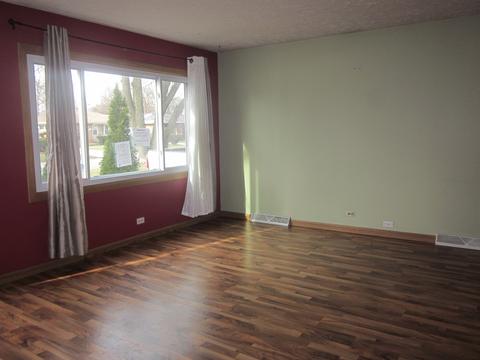 16343 Wolcott Ave, Markham, IL 60428 photo 3