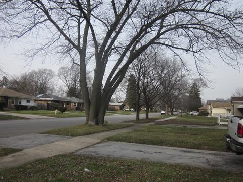 16343 Wolcott Ave, Markham, IL 60428 photo 16