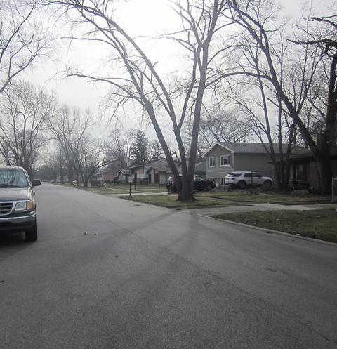 16343 Wolcott Ave, Markham, IL 60428 photo 15