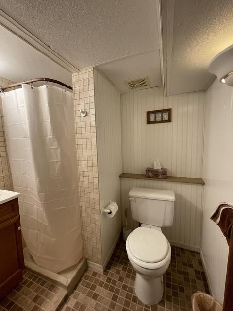 215 Renfrew Ave, Dwight, IL 60420 photo 15