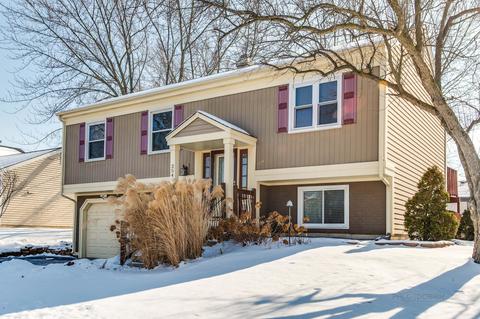 254 E Cleburne Ave, Bartlett, IL 60103 photo 3