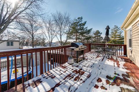 254 E Cleburne Ave, Bartlett, IL 60103 photo 30