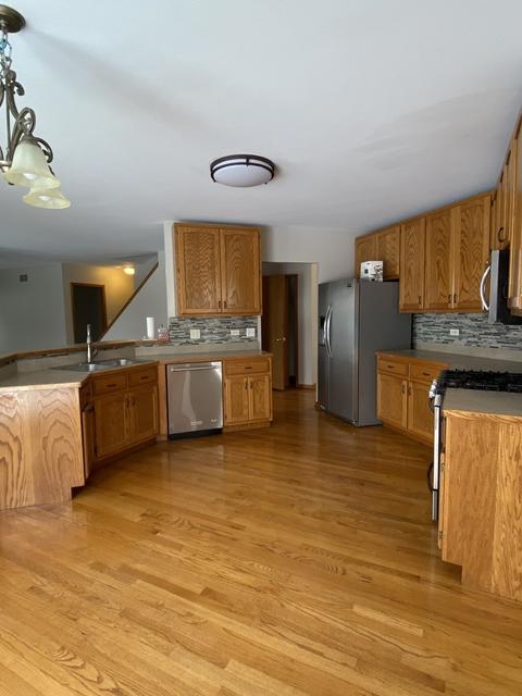 25043 Sandra Ln, Plainfield, IL 60544 photo 7