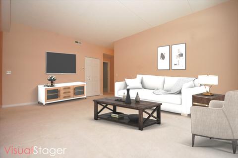3115 Town Square Dr #202, Rolling Meadows, IL 60008 photo 6