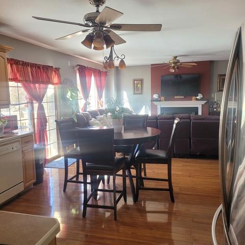 17020 Danielle Ct, Oak Forest, IL 60452 photo 10