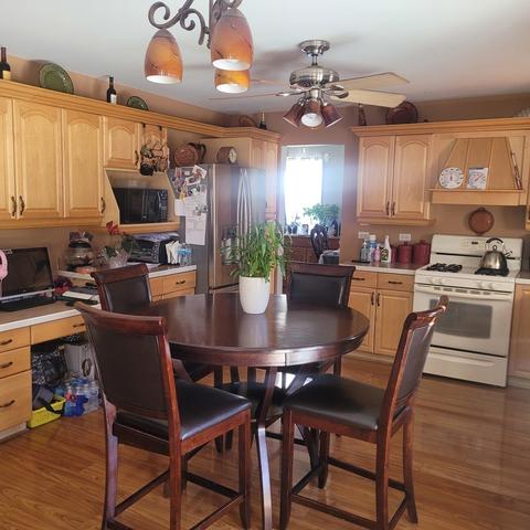 17020 Danielle Ct, Oak Forest, IL 60452 photo 11