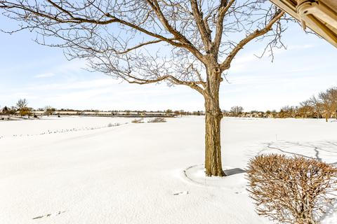 21124 Buckeye Ct, Plainfield, IL 60544 photo 24