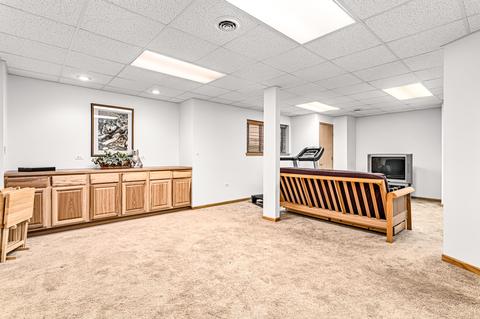21124 Buckeye Ct, Plainfield, IL 60544 photo 14