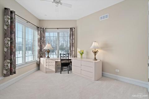 24906 W Pine Cone Ln, Plainfield, IL 60586 photo 38