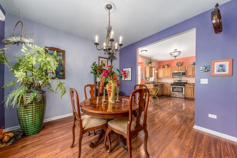 21012 Walnut Dr, Plainfield, IL 60544 photo 9