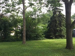 8302 45th St, Lyons, IL 60534 photo 13