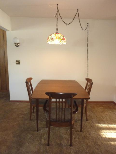 115 Pauline Dr, Elgin, IL 60123 photo 7