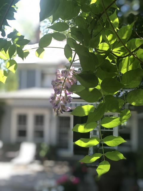 184 Wildwood Rd, Lake Forest, IL 60045 photo 7