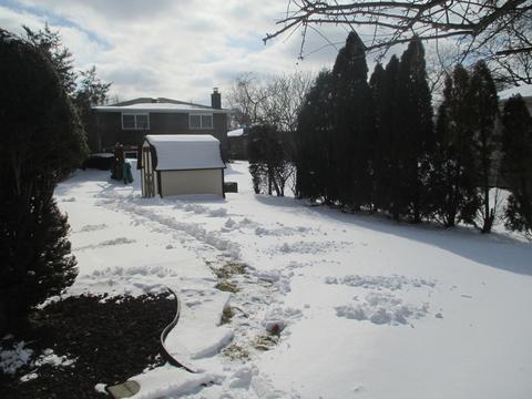 7824 Cherry Tree Ln, Willowbrook, IL 60527 photo 32