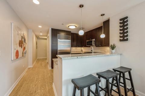 60 E Monroe St #1504, Chicago, IL 60603 photo 7