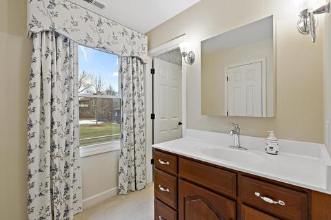 330 W Morse Ave, Bartlett, IL 60103 photo 20