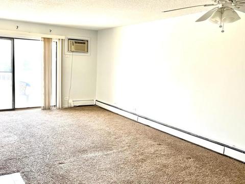 173 Gregory St #3, Aurora, IL 60504 photo 7