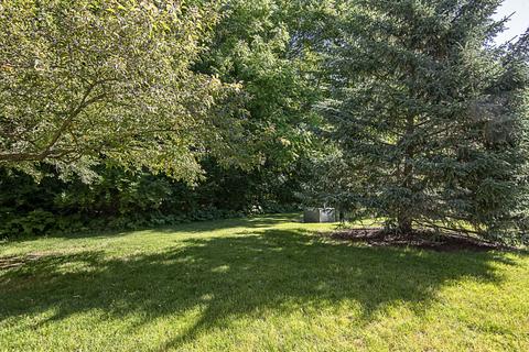 4047 Oak Tree Ln, Plainfield, IL 60586 photo 19