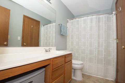 4047 Oak Tree Ln, Plainfield, IL 60586 photo 14