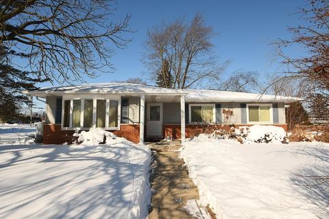 25820 Chestnut Ln, Monee, IL 60449 photo 1