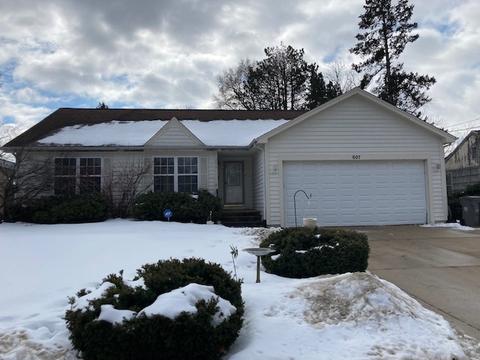 607 Morgan St, Elgin, IL 60123 photo 1