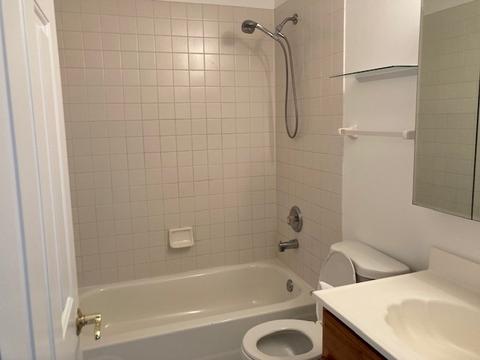607 Morgan St, Elgin, IL 60123 photo 10