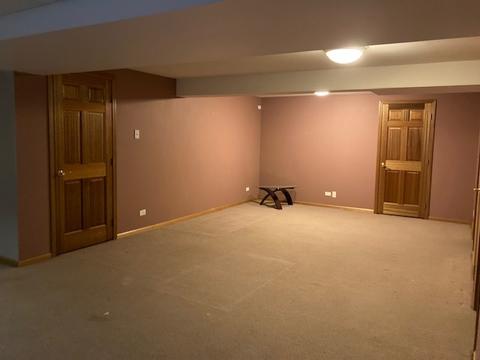 607 Morgan St, Elgin, IL 60123 photo 11