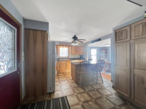 203 E Snyder St, Davis, IL 61019 photo 18