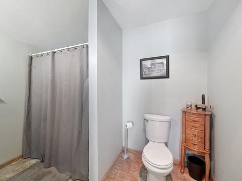 203 E Snyder St, Davis, IL 61019 photo 33