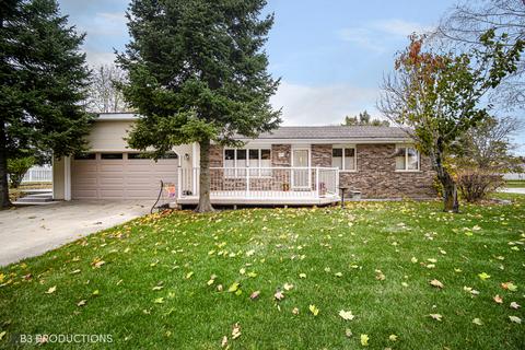 631 E Walnut St, Peotone, IL 60468 photo 1