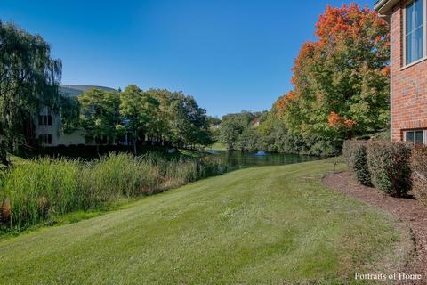 9350 E Falling Waters Dr, Burr Ridge, IL 60527 photo 40