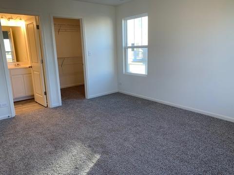 3820 Currant Ln, Elgin, IL 60124 photo 6