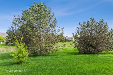 2820 Edgewater Dr, Elgin, IL 60124 photo 30