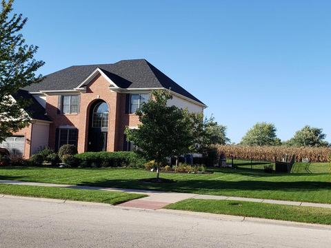 26012 W Chatham Dr, Plainfield, IL 60585 photo 2