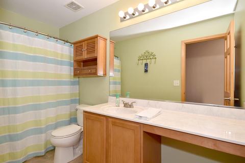 25028 Brigade Ln, Plainfield, IL 60544 photo 35