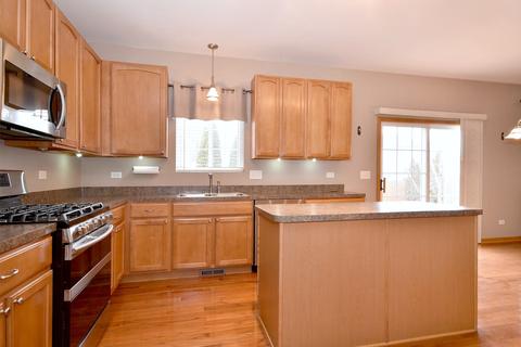 25028 Brigade Ln, Plainfield, IL 60544 photo 11