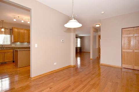25028 Brigade Ln, Plainfield, IL 60544 photo 14