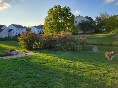 2008 Olde Mill Ln, Mchenry, IL 60050 photo 26