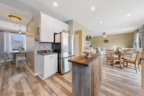 12921 Parterre Pl, Plainfield, IL 60585 photo 4