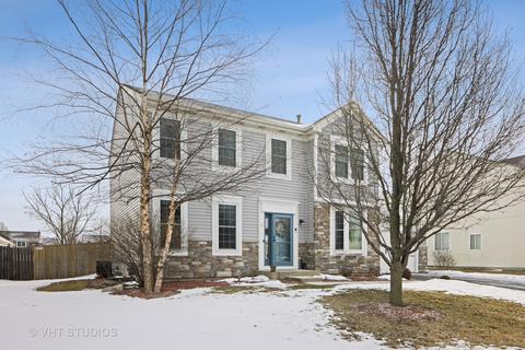 12921 Parterre Pl, Plainfield, IL 60585 photo 32