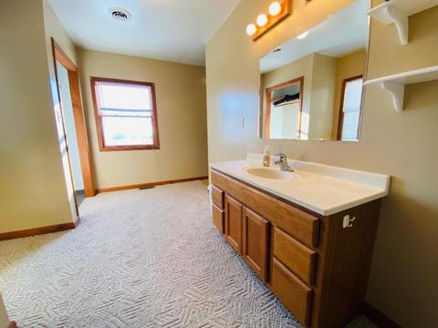 21379 E 3100 Rd N, Dwight, IL 60420 photo 18