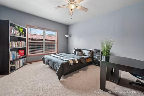 12931 Alpine Way, Plainfield, IL 60585 photo 11