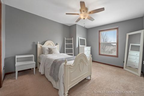 12931 Alpine Way, Plainfield, IL 60585 photo 17