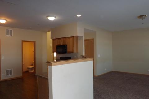 6502 Gray Hawk Dr, Matteson, IL 60443 photo 7