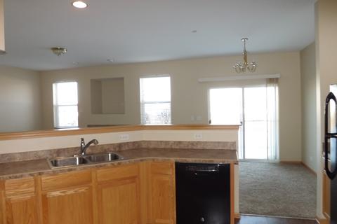 6502 Gray Hawk Dr, Matteson, IL 60443 photo 8